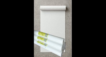 Dutch Wallcoverings - Renovatievlies 150