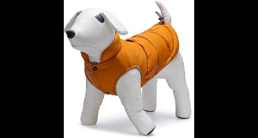 Beeztees Wisti - Hondenjas - Oranje - 24 cm