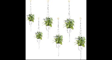 Boraboi® Set van 6 Vintage Macramé Plantenhangers voor Binnen en Buiten Decoratie