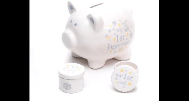 Baby spaarvarken en tandendoosje en haarlokdoosje in het blauw in geschenkdoos van Celebrations