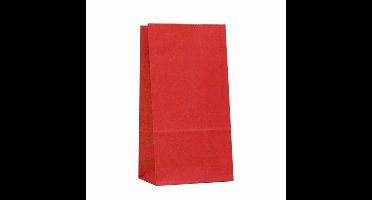 Daily Style – Papieren Cadeautas – Bruin – 10 stuks – 8x21 cm