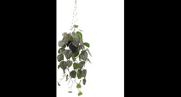 Kunstplant Peperomia Melon Hang - 90 cm