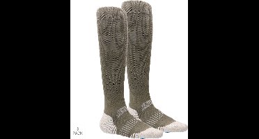 Bata Industrials - 2-Pack - Insectwerende Werksokken - Anti Bug - Kniehoog - Anti Teek - Heren / Dames - groen - 43-46 - 133914200