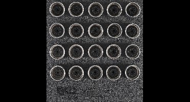BGS Velgenslot demontageset voor Opel (type A) 20 delig