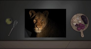 Inductie Beschermer - Leeuwin in de Nacht - 70x52 cm - 2 mm Dik - Inductieplaat Beschermer met zwarte kern