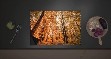 Inductieplaat Beschermer - Bos met Hoge Bomen in Herfstkleuren - 70x52 cm - 2 mm Dik - Inductie Beschermer met zwarte kern