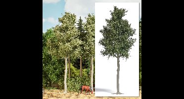 Busch - WALDBUCHE 170 MM H0 (2/23) * - modelbouwsets, hobbybouwspeelgoed voor kinderen, modelverf en accessoires