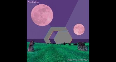 Wooden Tape - Music For Another Place (LP)