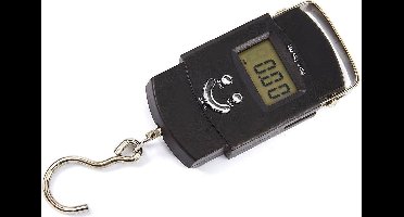 HBM elektronische hangweegschaal 50 kg, digitaal, kg/oz/lbs, schaalverdeling 1 g tot 10 kg