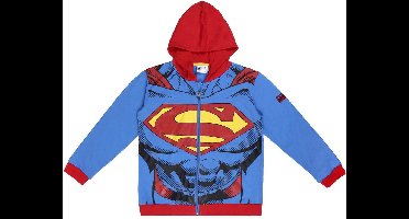 Superman - DC Comics - Hoodie - 10 jaar - Origineel – Trui - Sweater