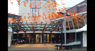 Vlaggenlijn oranje 20 puntenks