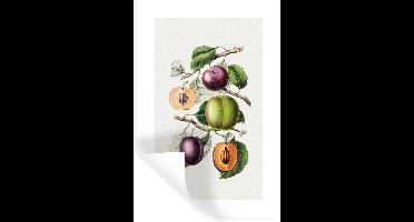 Muurstickers - Sticker Folie - Eten - Fruit - Takken - 20x30 cm - Plakfolie - Muurstickers Kinderkamer - Zelfklevend Behang - Zelfklevend behangpapier - Stickerfolie