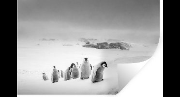 Muurstickers - Sticker Folie - Jonge pinguïns beklimmen een ijsberg - zwart wit - 30x20 cm - Plakfolie - Muurstickers Kinderkamer - Zelfklevend Behang - Zelfklevend behangpapier - Stickerfolie