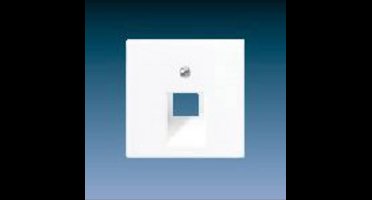 Jung AS500 Insteekplaat Schakelmateriaal - A569-1PLUA - E32R5