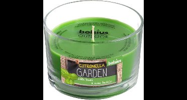 Bolsius - Kaars - Citronella - 30 Branduren - Basilicum