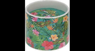 Kaars - tropische bloemen - tuin - kaarsenhouder - kaarsen