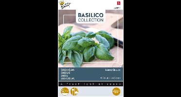 Basilico Italiano Classico