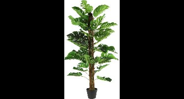 Countryfield kunstplant Monstera L
