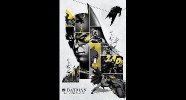 Batman 80th Anniversary - Maxi Poster
