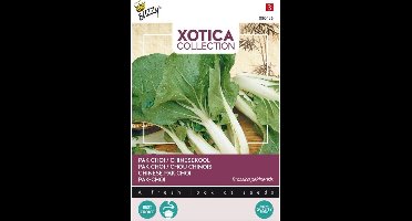 Xotica Paksoi Kanton