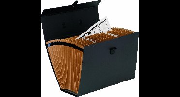 Bankers Box opbergkoffer draagbaar Handifile zwart