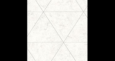 Restored Polished Concrete lichtgrijs behang (vliesbehang, grijs)