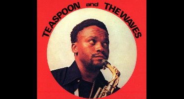 Teaspoon & The Waves