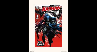 Marvel COMICS BATMAN CONFIDENTIAL - Art Print 30x40 cm