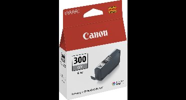 Original Ink Cartridge Canon 4200C001 Grey