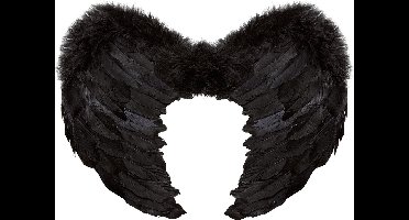 Veren vleugels zwart 37x50cm