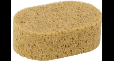 Autospons ovaal schuim 160x95x65 mm