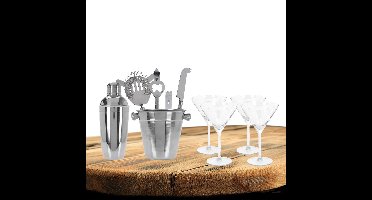 Excellent Houseware cocktails maken set 6-delig met 4x Martini glazen 260 ML