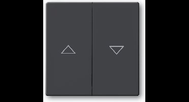 Schalterserien - Buttons - Black - 63 mm - 63 mm - 1 pc(s)