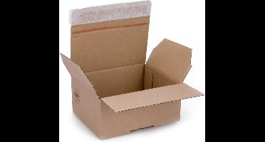 Autolockdoos enkelegolf 460 x 309 x 180-300 mm | 10 stuks