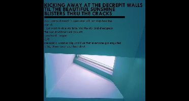 MXLX - Kicking Away At The Decrepit Walls Til The Beautiful Sunshine Blisters Thru The Cracks (LP) (Remastered)