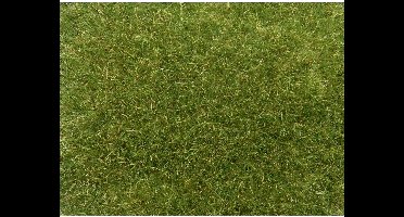 NOCH 07118 Wildgras Groen (gemiddeld)