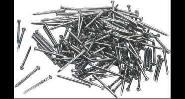 H0 Piko A-rails 55299 Railsspijker