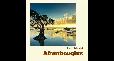 Gary Schmidt - Afterthoughts (CD)