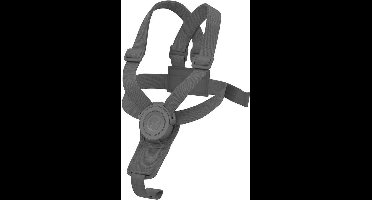 Cybex Lemo Click&Fold - Kinderstoel - Veiligheidsharnas - Grijs