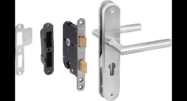 Starx Poortdeur set met RVS beslag en veiligheidsslot SKG*