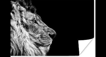 Poster Leeuw - Profiel - Zwart - Wit - 30x20 cm