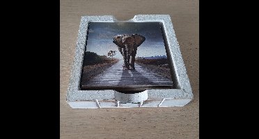 Onderzetter olifanten set van 6 verschillende afbeeldingen