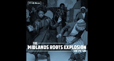 Various Artists - Midlands Roots Explosion Vol.2 (CD)