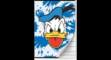 Donald Duck schriften Lijn A4 - 4 stuks