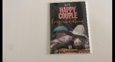 wenskaart-Bowie H.- Getrouwd-BWH01A