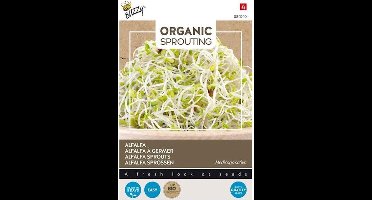 Buzzy Knip & Eet - Alfalfa BIO