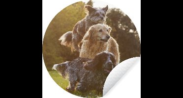 WallCircle - Muurstickers - Behangcirkel - Honden - Park - Zon - ⌀ 30 cm - Muurcirkel - Zelfklevend - Ronde Behangsticker