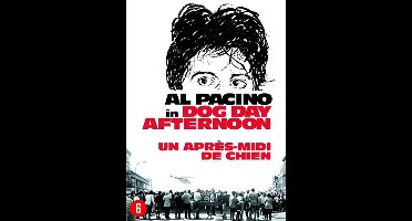 Dog Day Afternoon (DVD)
