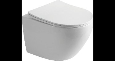 Sanifun Rimless hangtoilet Vesta 490 Wit combi