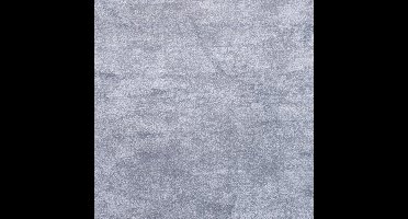 Vloerkleed Xilento Shades Silverstone | 170 x 230 cm